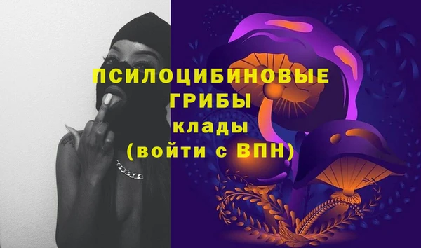шишки Алексеевка
