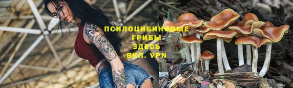 шишки Алексеевка