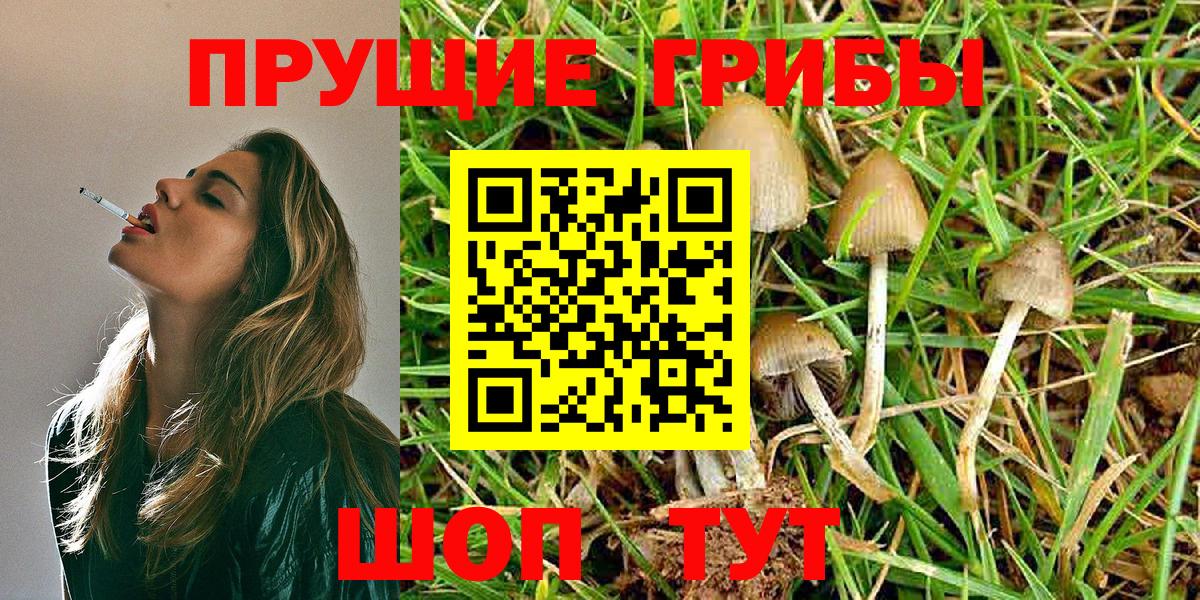 купить наркотики цена  Галлюциногенные грибы MAGIC MUSHROOMS  Вход с VPN  Псилоцибиновые грибы Psilocybine cubensis  Воткинск 
