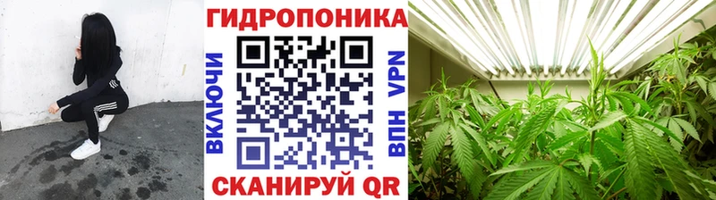 купить наркотик это как зайти Шишки марихуана LSD WEED Воткинск